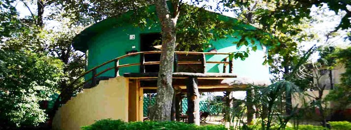 925/Tiger Woods Kanha Resort & Spa - Kanha 03.jpg